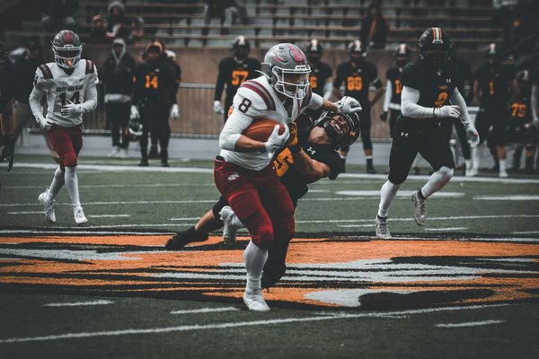 Unlock the secrets of flavor balance: essential tips for creating classic shepherd"s pie