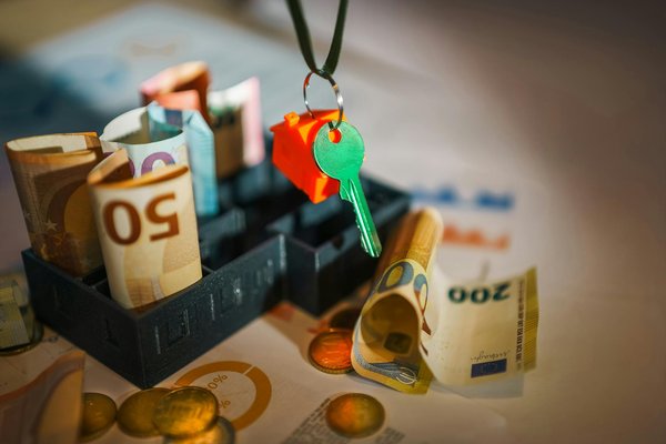 Crafting the Perfect Exercise Plan for Your Pomeranian with Luxating Patella